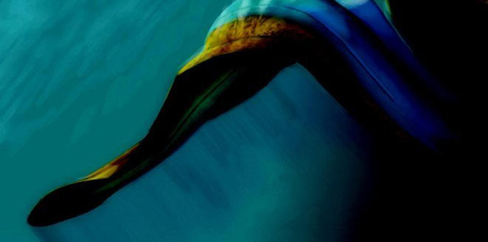 KLIK Magazine ® | 52 Blue. Η πιο μοναχική φάλαινα στον κόσμο....